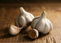 Unraveling the Health Benefits of Garlic: From Boosting Immunity to Cardiovascular Health