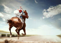The Art of Horse Racing Betting Exchange
